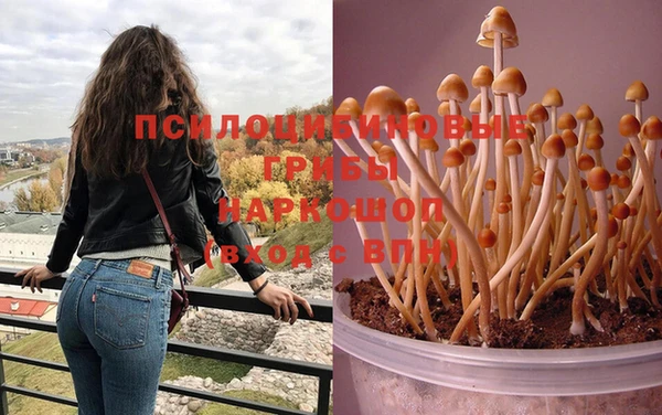 MESCALINE Баксан