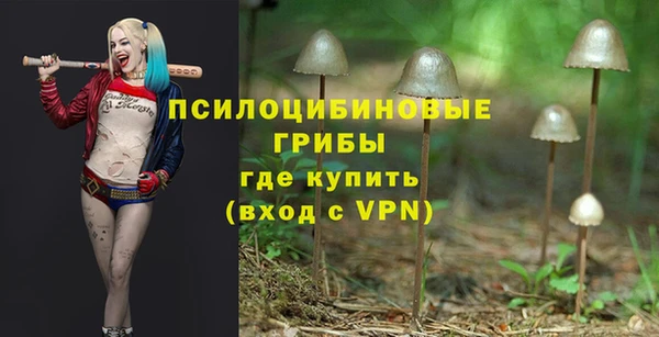 тгк Балахна