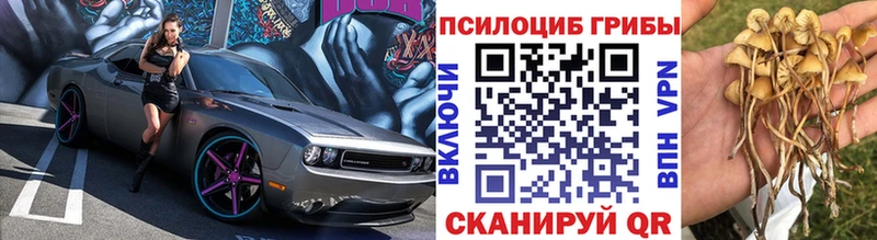 Галлюциногенные грибы Cubensis  blacksprut ONION  Балтийск 