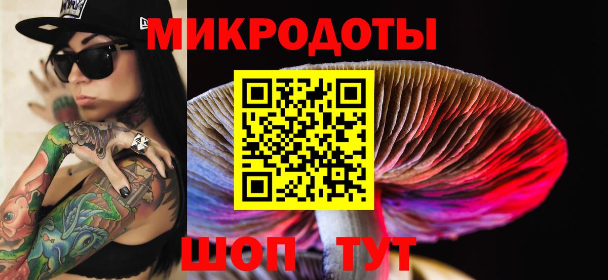 Галлюциногенные грибы GOLDEN TEACHER Балтийск