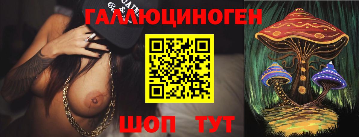 Балтийск  продажа наркотиков  Вход с VPN  Галлюциногенные грибы Psilocybe 