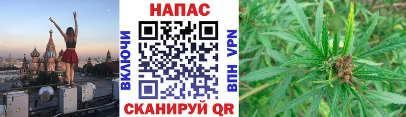 купить  сайты  Балтийск  Каннабис White Widow 
